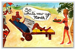 Comic Greetings What&#39;s New Up North Florida FL UNP Chrome Postcard U8 - £2.77 GBP