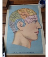2008 Cavallini Papers A Picture Of Good Health Chart 1 Poster 19 1/2&quot; X ... - $27.15 CAD