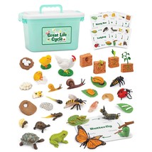 Life Cycle Sets Figurine Toys, Kids Animal Match Set With Frog, Ladybug,... - £58.20 GBP