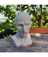 Bust of Ecorché, Human Face Anatom, 3D Printed Statue - $612.75 MXN+
