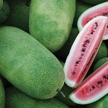 HT Charleston Grey Watermelon Seeds 20 Seeds Non-Gmo 1047 Garden Seeds - $186.58 MXN