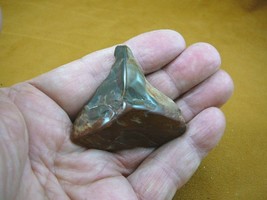 R809-3) genuine fossil Petrified Wood specimen Queensland Australia orga... - £12.67 GBP