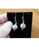 DP1-20u REAL DINOSAUR POOP 12mm bead dangle EARRINGS Utah ancient Dino C... - $18.99