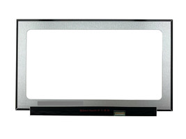 17.3&quot; Acer Predator Helios 300 PH317-54-72GY LED LCD Screen Display B173... - $168.31