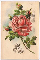Greeting Postcard Embossed Red Rose Postmark Albany NY 1908 - £2.31 GBP