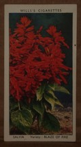 VINTAGE WILLS CIGARETTE CARDS GARDEN FLOWERS SALVIA No # 41 NUMBER X1 b19 - $1.75