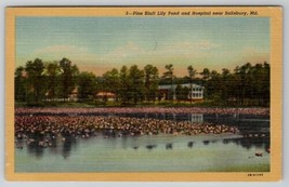 Salisbury Maryland Pine Bluff Lily Pond and Hospital Postcard E23 - $5.95