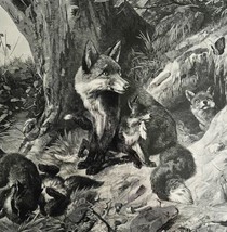 Foxes At Play In The Woods Deiker 1893 Victorian Woodcut Print Art HM1F - £56.29 GBP
