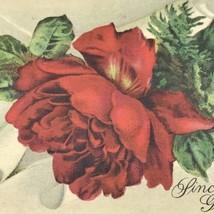 Sincere Good Wishes Vintage Postcard Rose 1911 Antique - £7.81 GBP