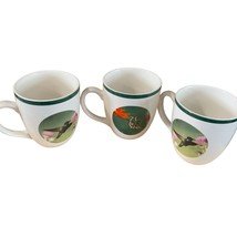 National Wildlife Federation Mugs 2 Green 1 orange Hummingbirds Birds 16 oz set - £17.90 GBP