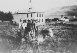 Vintage Photo Reproduction A cow carries seven children “to school” 1907 - $4.93+