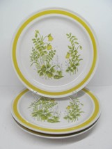 Chadds Ford Spring Meadow Stoneware Set Of Three 10 3/4&quot; Dinner Plates VGC - £21.99 GBP