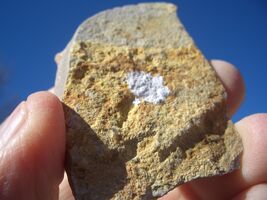 CARNOTITE URANIUM: JURASSIC CANYON  NM  1.1 OZ., 42,300 CPM   $22.00  +$... - $22.00