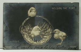 Rppc &quot;Holding The Fort&quot; Baby Chicks With Basket Rotograph Co 1906 Postcard F11 - £9.40 GBP