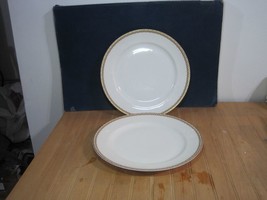 Two (2) Dinner Plates Haviland Co. Limoges France, Rare. - $34.65