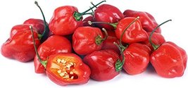 500+ Habanero Pepper Seeds, Heirloom, Non-GMO, Great Fresh and Cooked - $14.99
