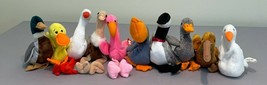 LOT OF  Ty Beanie Babies Ducks Swan Quackers Stretch Ostrich Pinky Scoop Pelican - £19.97 GBP