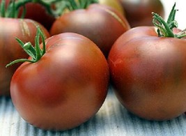 50 Seeds Nyagous Tomato Seeds Black Tomato Heirloom Seed Garden USA Seller - $13.75