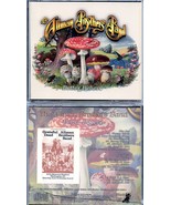 Allman Brothers- Better Believe ( 3 CD SET ) ( With Grateful Dead at RFK... - $42.99
