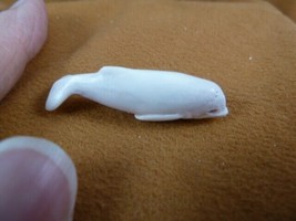 Whal-w96 little white baby Beluga Whale shed ANTLER figurine Bali detailed - $29.91