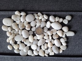 Milky Quartz , trasluscent , naturaly polished   , 100 gr , lot - $112.32 MXN