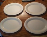 Carlisle Darus platters pasta plates?? - $18.99