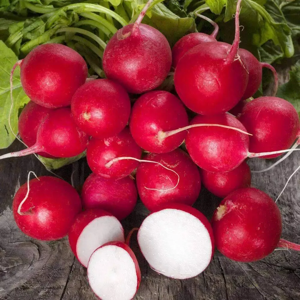100 Cherry Belle Radish Seeds, NON-GMO, Organic, Heirloom - £6.64 GBP