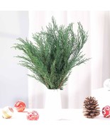 Preserved Real Pine Leaves Branches 17&#39;&#39; Natural Pine Needles Green Plan... - £38.11 GBP