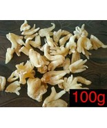 Salam-Panja, Salab-Panja,Mishri-Marsh-Orchis-Dactylorhiza Hatagirea herb 100g - $66.36