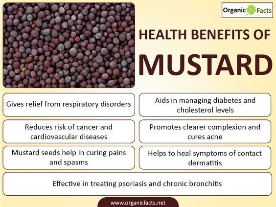 Mizuna Asian Mustard-1500 Seeds-Non GMO-Open Pollinted. - $4.60
