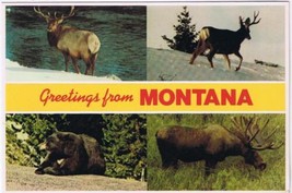 Postcard Greetings From Montana Multi Moose Caribou Black Bear - $2.96