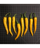 25 Seeds Ho Chi Minh Hot Pepper Fresh Seeds - $10.95