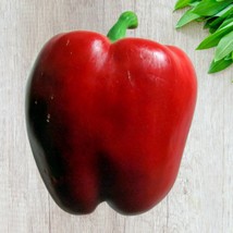 Yolo Wonder Sweet Bell Pepper Seeds Open Pollinated Container Vegetable ... - $10.35