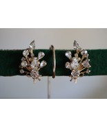 Vintage Gold Tone Clear Glass Rhinestone Flower Bouquet Clip Earring Tea... - €12,98 EUR