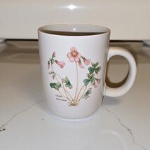 BIA Cordon Bleu Coffee Mug Vintage Oxalis Flower Ceramic 3.5” Botanical Cup - €11,02 EUR