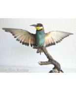 European Bee-Eater Bird Taxidermy Mount – Open Wings Scientific Display ... - $517.46 CAD