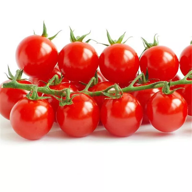 MBK 30 Seeds Small Red Cherry Tomato Non-Gmo Variety Sizes Packs Sale - $186.37 MXN