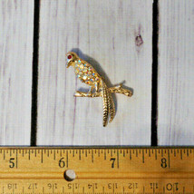 vintage gold tone AB rhinestone bird on perch brooch pin - $7.91