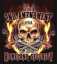 2ND AMENDMENT USA HOMELAND SECURITY XLG TEE SHIRT skull gun control pist... - $9.49
