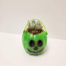 Mini Halloween Succulent Planters, set of 2, Pumpkin Jack O'Lantern Pots image 3