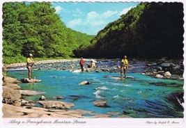 Postcard Along A Pennsylvania Mountain Stream - £3.10 GBP