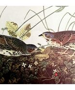 Fox Sparrow 1950 Lithograph Art Print Audubon Bird First Edition DWU14F - $42.03 CAD