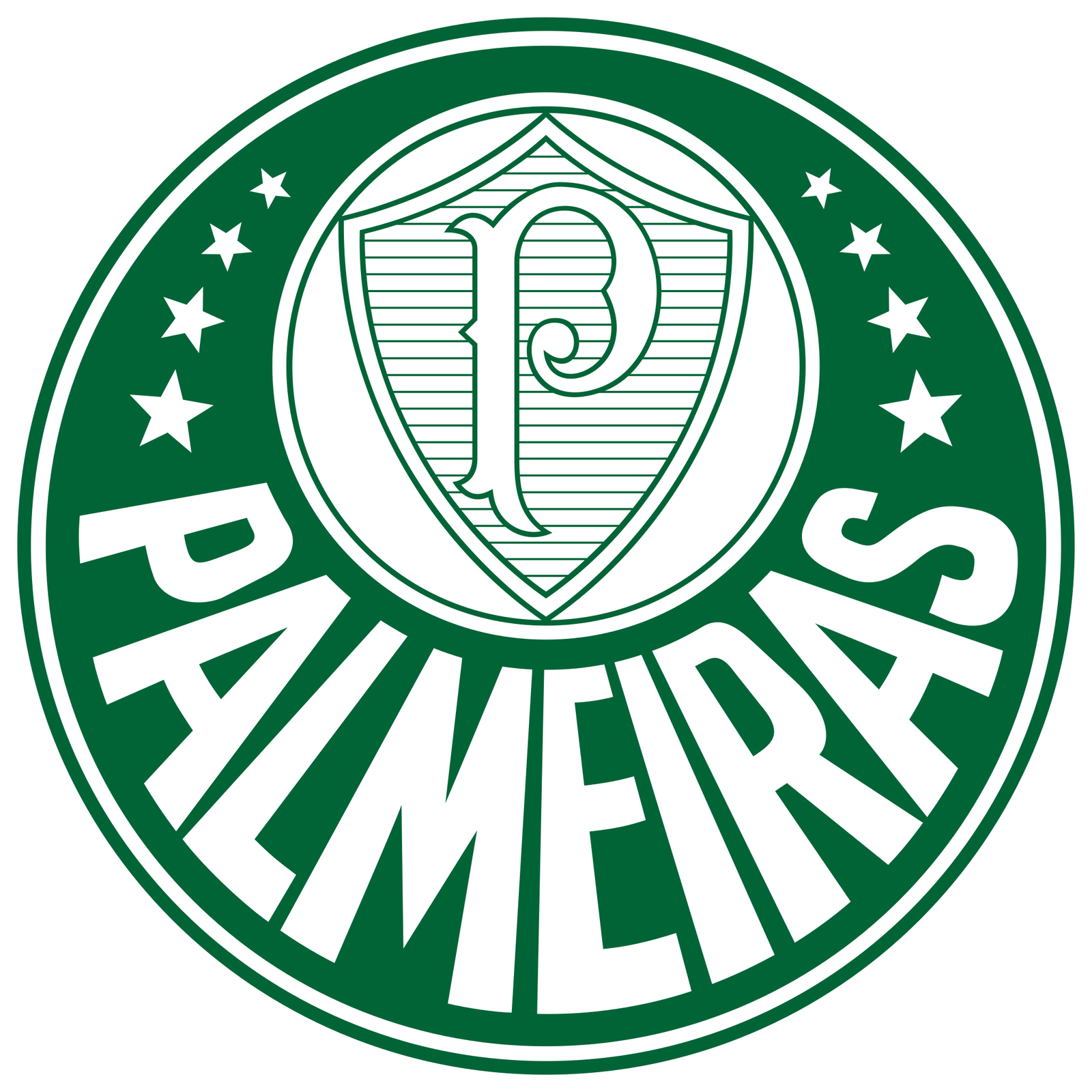 Sociedade Esportiva Palmeiras Brazil Football Badge Iron On Embroidered ... - $15.99+