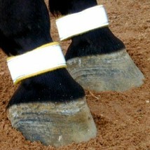An item in the Sporting Goods category: Reflective Horse Leg Bands Yellow Fleece Riding Safety - Set of Two