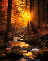 River Stream In Forest Sunset Wall Art 11X14 Photo - £12.44 GBP