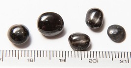 Indian Black Star Semi Precious Stone Lot of 6 Carat-
show original titl... - £29.49 GBP