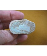 O-240-25) 48.4 grams white green flash Coober Pedy opal specimen stone A... - €27,26 EUR