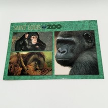 St. Louis Zoo Ape House Gorillas Monkeys Missouri Postcard 20 Cent Stamp - £1.52 GBP