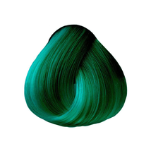 OYA WILD DIRECT VIBRANT HAIR COLOR, (No Developer Needed!) image 3