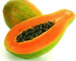 KKG 25 Organic Maradol Papaya Seeds Edible Tropical Fruit Easy Grow US S... - $12.37